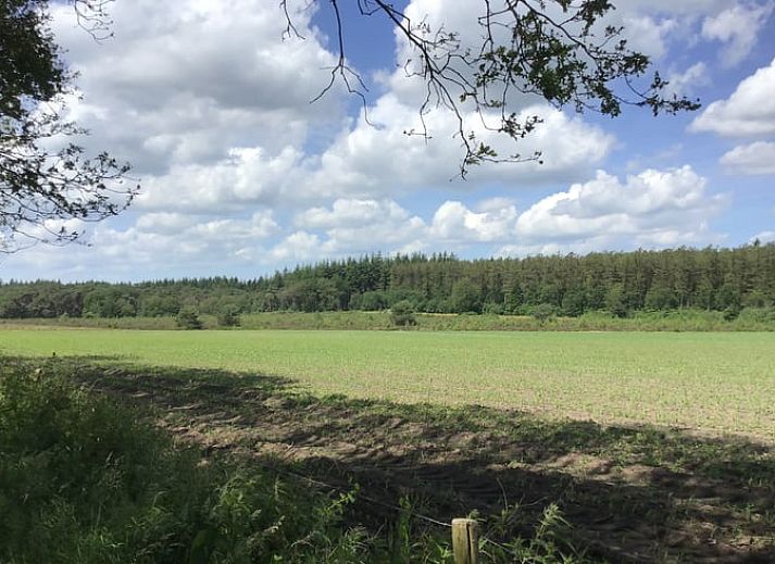 Lichte woonkamer van Vakantiehuis in Havelte, Zuidwest Drenthe met uitzicht op terras.