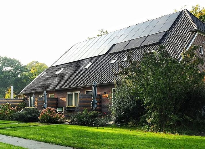 Ferienhaus in Havelte, ein charmantes Ferienhaus im Suedwesten von Drenthe, umgeben von gruener Natur und einer sonnigen Terrasse.