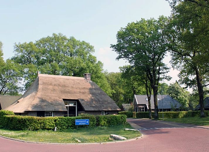 Entspanntes Lesen im Ferienhaus "Huisje" in Havelte, Suedwest-Drenthe. Geniessen Sie den ruhigen Innenraum und das natuerliche Licht.