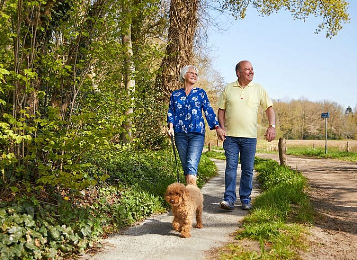 Gemuetliches Wohnzimmer des Ferienhauses in Havelte, Ferienhaus im Suedwesten von Drenthe, mit stilvoller Einrichtung und viel Tageslicht.