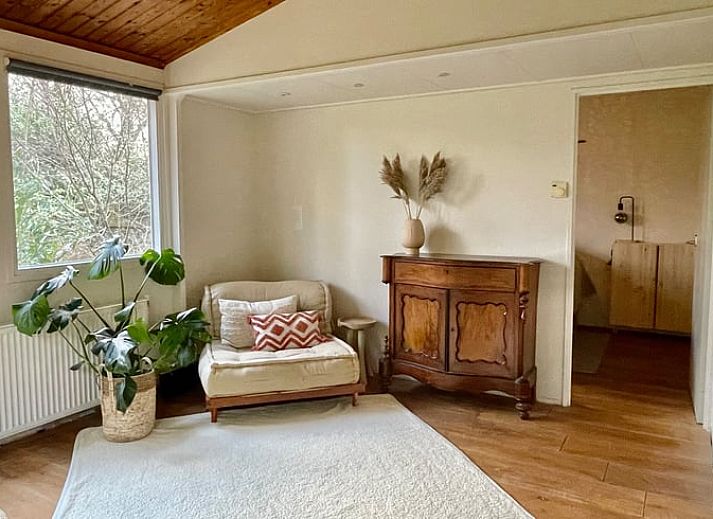 Aussenbereich des Ferienhauses in Havelte, Sued-West Drenthe, umgeben von gruener Natur und Baeumen.