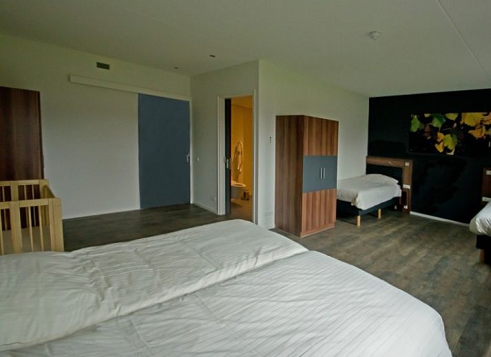 Marinushoeve vakantiehuis in Havelte omgeven door groene natuur en ruime tuin in Zuidwest Drenthe.