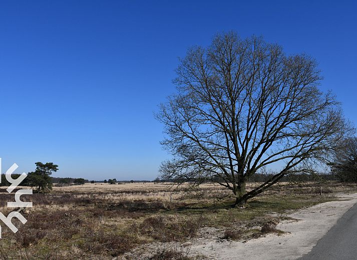 Ferienhaus DG1468 mit Terrasse in Havelte, Suedwest-Drenthe, umgeben von Natur.