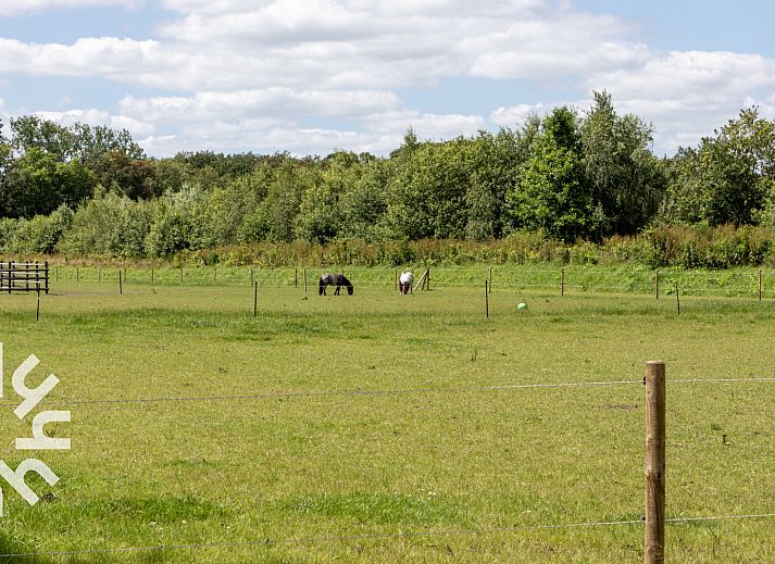 Gemuetliches Wohnzimmer im Ferienhaus DG1468 in Havelte, Drenthe, mit bequemer Sitzecke.