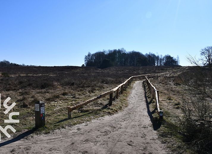 Gemuetliches Wohnzimmer im Ferienhaus DG1468 in Havelte, Drenthe, mit bequemer Sitzecke.