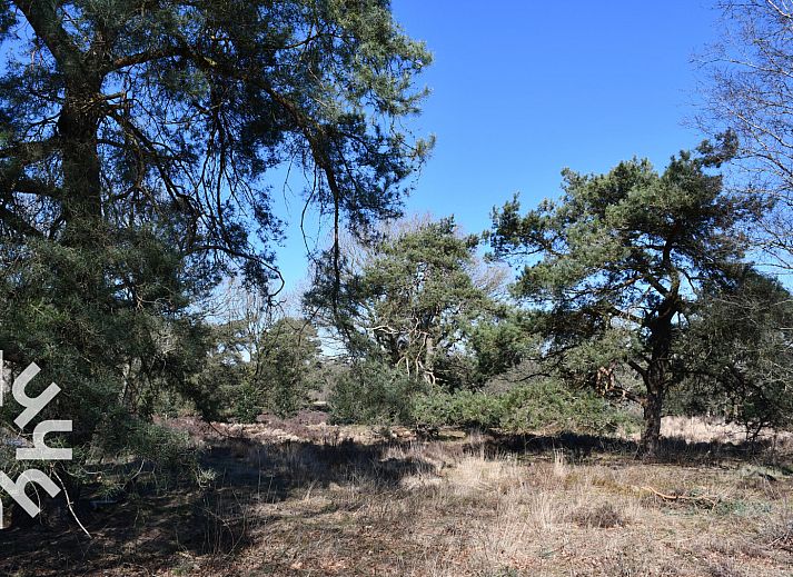 Gemuetliches Wohnzimmer im Ferienhaus DG1468 in Havelte, Drenthe, mit bequemer Sitzecke.