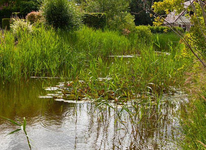 Guest house 200332 - Holiday property Zuidwest Drenthe - Huisje in Havelte