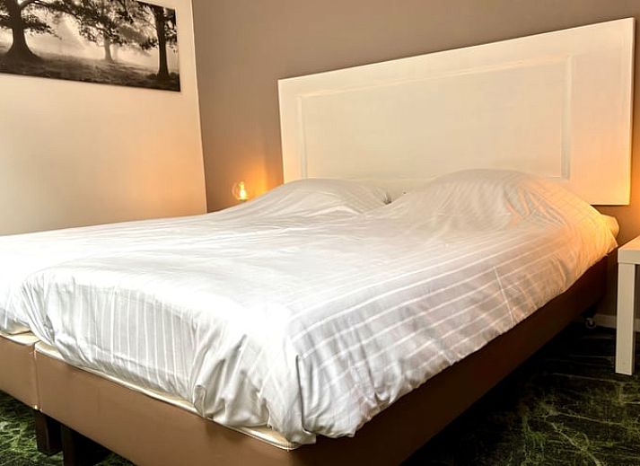 Geniessen Sie die Ruhe im Wohnzimmer des Ferienhauses "Huisje in Havelte", einem Ferienhaus im Suedwesten von Drenthe mit Blick auf die gruene Natur.