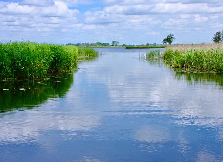 Gemuetliches Wohnzimmer des Ferienhauses in Havelte, Suedwest-Drenthe, mit moderner Kueche und Essbereich in einem von Natur umgebenen Ferienhaus.