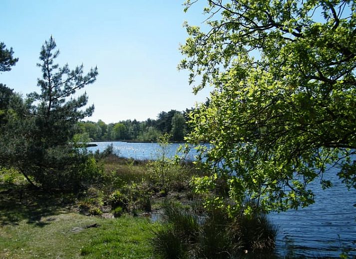 Gemuetliches Wohnzimmer des Ferienhauses in Havelte, Suedwest-Drenthe, mit moderner Kueche und Essbereich in einem von Natur umgebenen Ferienhaus.