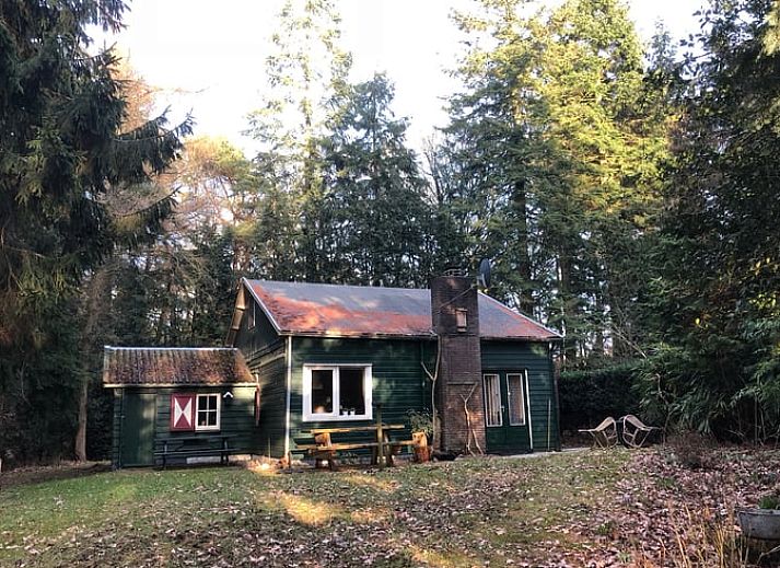 Charmantes Ferienhaus in Diever, gelegen in der waldreichen Gegend von Suedwest-Drenthe.