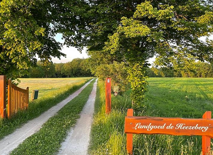 Gemuetlicher Innenbereich des Cottage in Diever mit bequemen Stuehlen und Gartenblick.