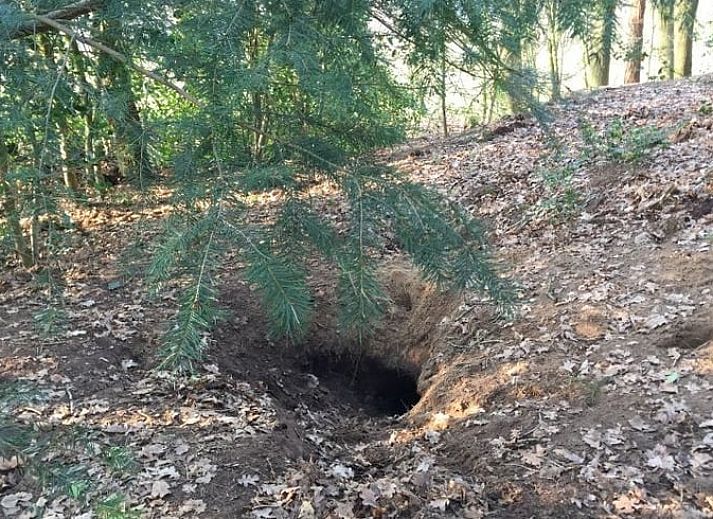 Schlafzimmer im Ferienhaus in Diever, Ferienhaus mit klassischer Einrichtung in Suedwest-Drenthe.