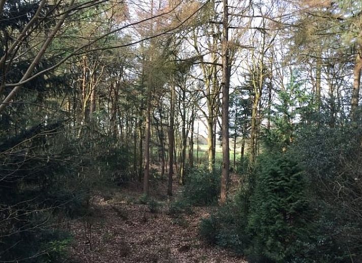Schlafzimmer im Ferienhaus in Diever, Ferienhaus mit klassischer Einrichtung in Suedwest-Drenthe.