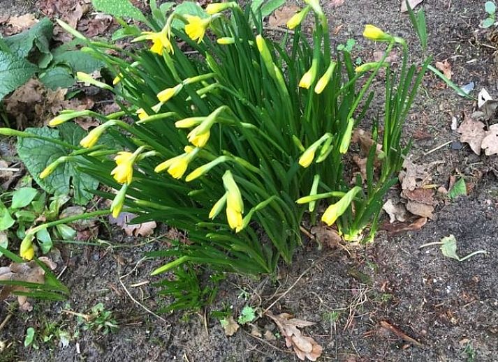Geraeumiges Schlafzimmer mit Waschbecken im Ferienhaus in Diever, ideal fuer einen erholsamen Aufenthalt.