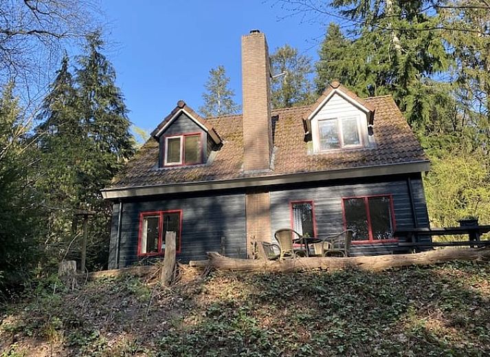 Vakantiehuis in Diever, Drenthe met zonnig terras en groene omgeving.