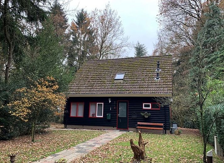 Vakantiehuis in Diever, Drenthe met zonnig terras en groene omgeving.