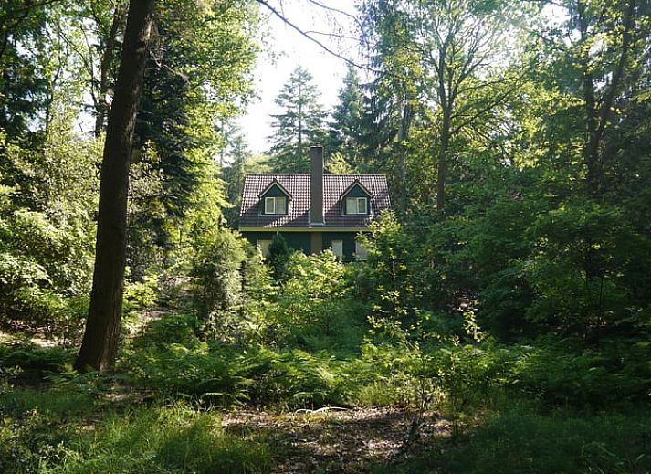 Vakantiehuis in Diever, Drenthe met zonnig terras en groene omgeving.
