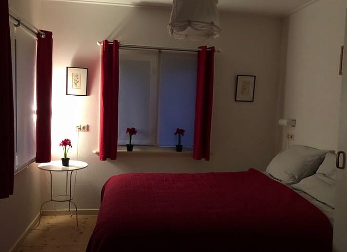 Gezellig vakantiehuis in Diever, Drenthe met herfstbladeren op de grond.