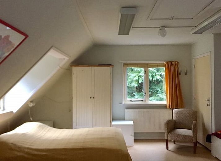 Gezellig vakantiehuis in Diever, Drenthe met herfstbladeren op de grond.