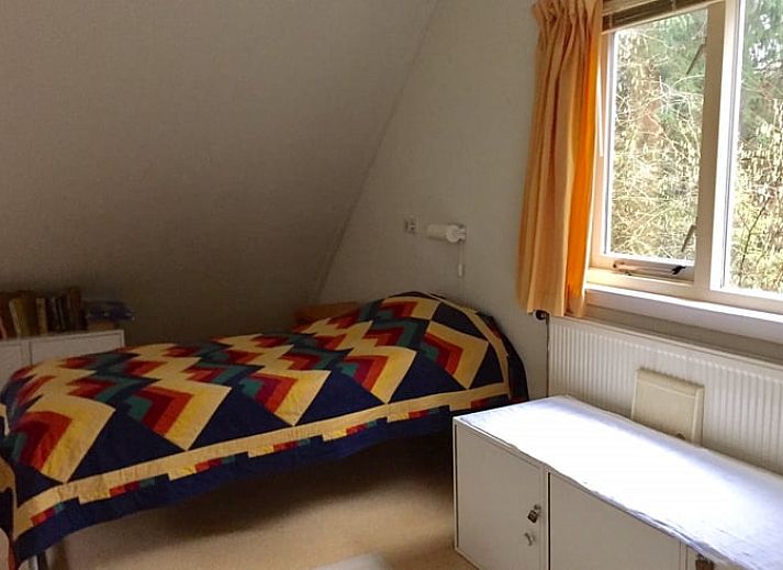 Gezellig vakantiehuis in Diever, Drenthe met herfstbladeren op de grond.