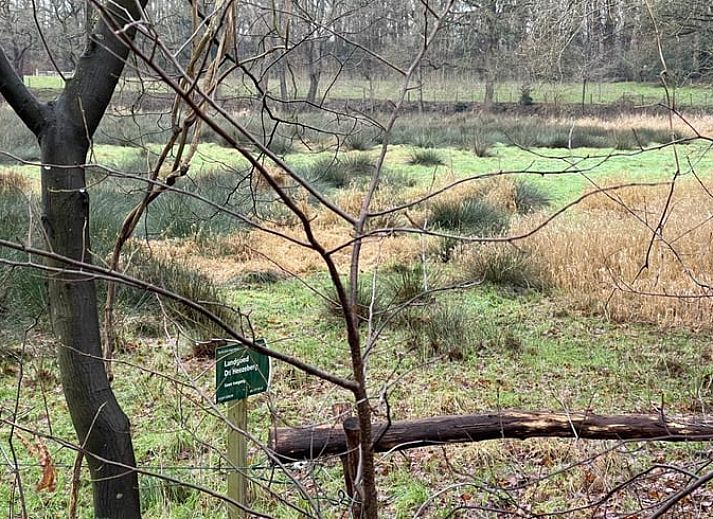Vakantiehuis in Diever, Drenthe verscholen tussen weelderige bossen.