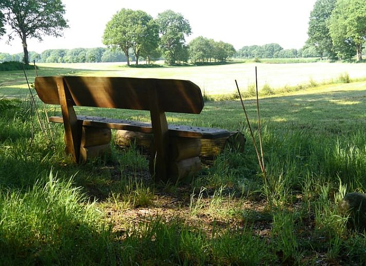 Vakantiehuis in Diever, Drenthe verscholen tussen weelderige bossen.