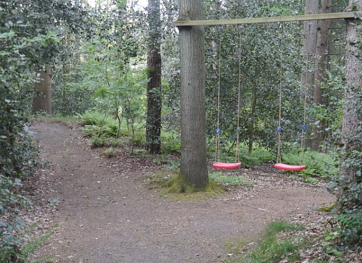 Vakantiehuis in Diever, Drenthe verscholen tussen weelderige bossen.