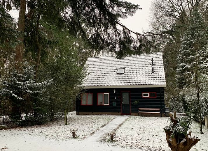 Lichte woonkamer in Vakantiehuis in Diever, Drenthe met comfortabele zitplaatsen.