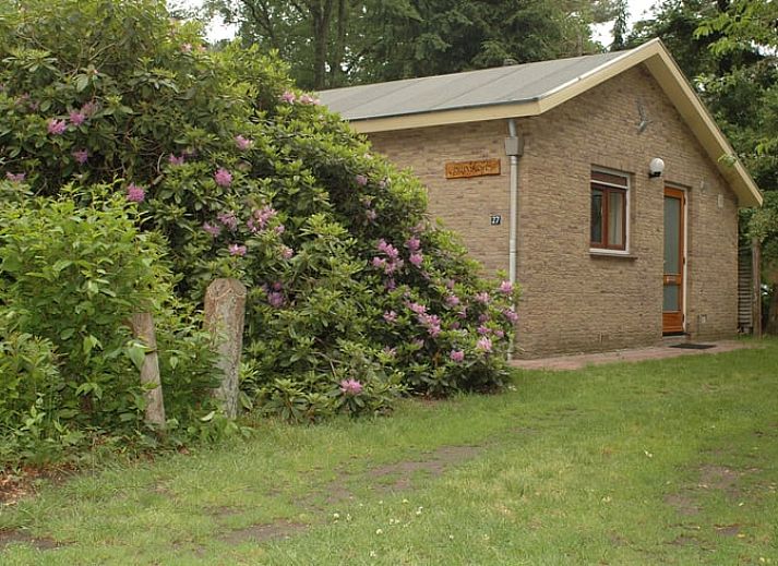 Vakantiehuis in Diever met terras en groene tuin in Zuidwest Drenthe.