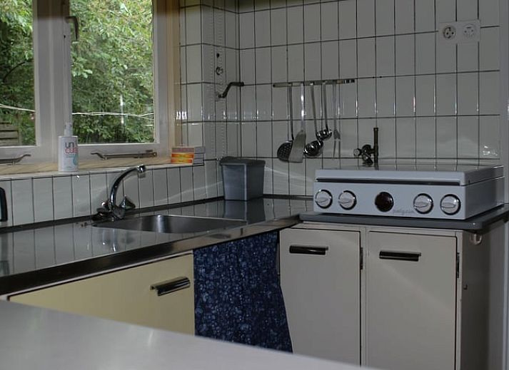 Gezellig vakantiehuis in Diever omgeven door bloeiende struiken in Drenthe.