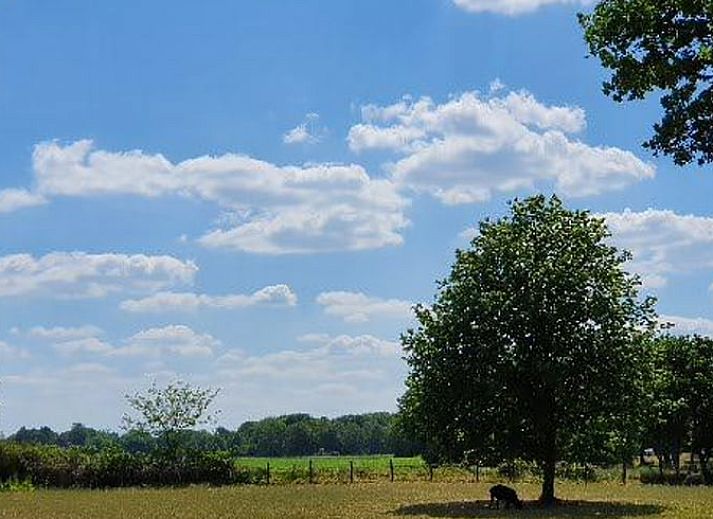 Knusse woonkamer met open haard in Vakantiehuis in Diever, Drenthe.