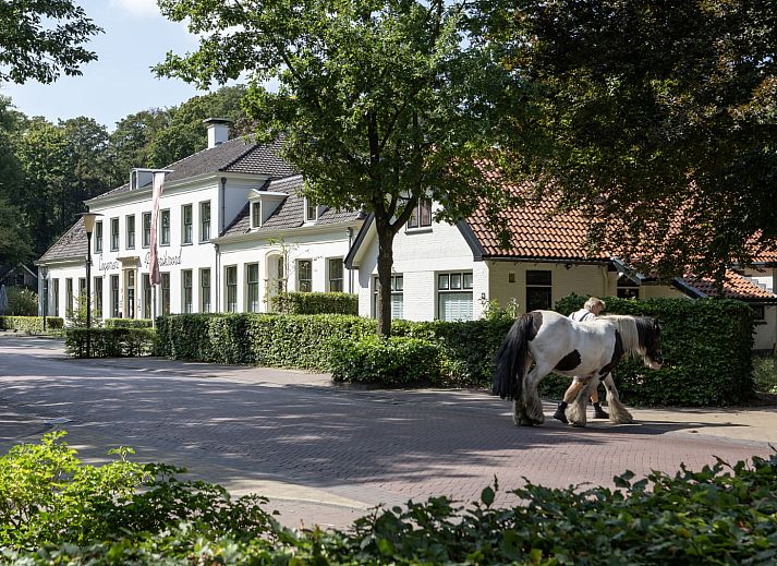 Unterkunft 200419 - Ferienhaus Zuidwest Drenthe - DG1935
