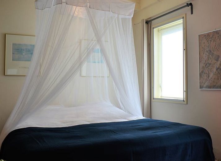 Geniessen Sie den schoenen Aussenbereich von Huisje in Diever, einem Ferienhaus im Suedwesten von Drenthe, mit gemuetlichen Gartenmoebeln und Blumen.