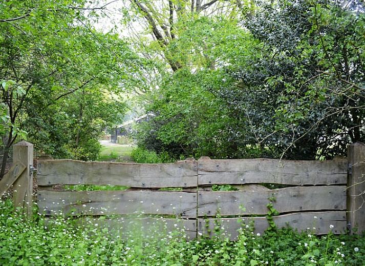 Erleben Sie die Ruhe im Schlafzimmer von Huisje in Diever, einem Ferienhaus im Suedwesten von Drenthe, das mit einem eleganten Himmelbett fuer hoechsten Komfort sorgt.