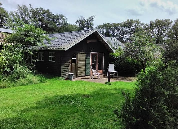 Gezellige woonkamer met uitzicht op de tuin in Vakantiehuis in Diever.