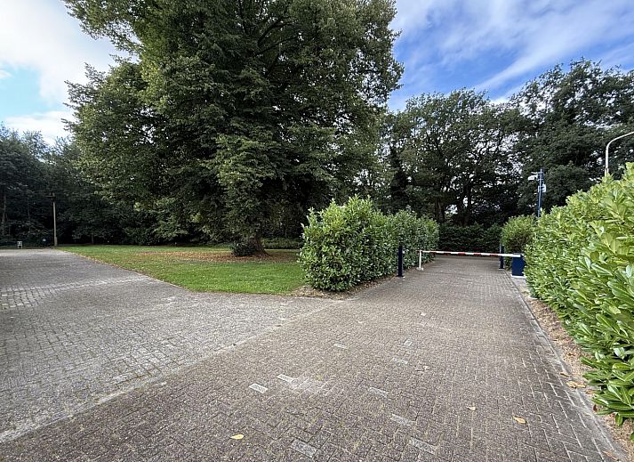 Geniessen Sie die Ruhe und die gruene Umgebung im Ferienhaus DG2052 in Diever, im Suedwesten von Drenthe, mit Blick auf die ueppige Natur und die Baeume.