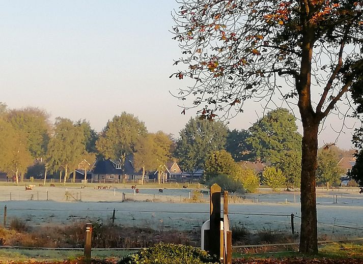 Ferienhaus DG2052 in Diever, Suedwest-Drenthe, mit einer gemuetlichen, umzaeunten Terrasse und Sitzgelegenheit in gruener Umgebung.