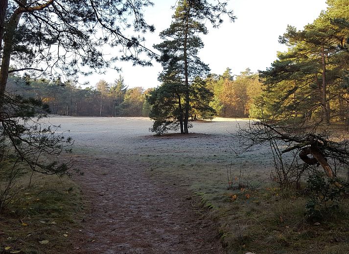 Verblijf 200429 - Vakantiewoning Zuidwest Drenthe - Vakantiehuis Geschmackvoll eingerichtetes Bauernhaus aus dem