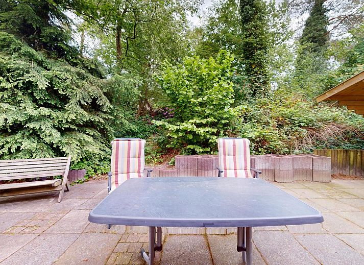 Gezellige woonkamer van vakantiehuis Borre Bos in Diever, Zuidwest Drenthe, met comfortabele bank en sfeervolle verlichting.