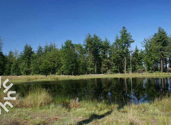 Gezellige woonkamer van DG264 vakantiehuis in Diever, Zuidwest Drenthe met comfortabele stoelen.