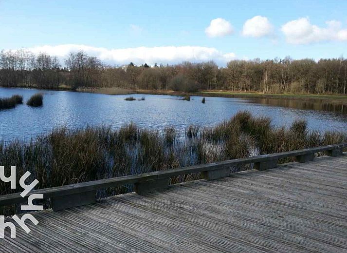 Natuurlijke omgeving rondom DG264 vakantiehuis in Diever, Zuidwest Drenthe. Schapen in de wei.