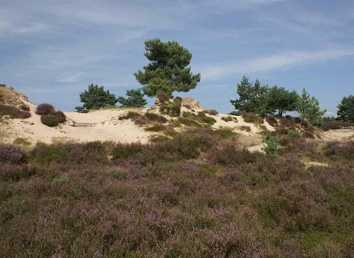 Unterkunft 200436 - Ferienhaus Zuidwest Drenthe - DG746