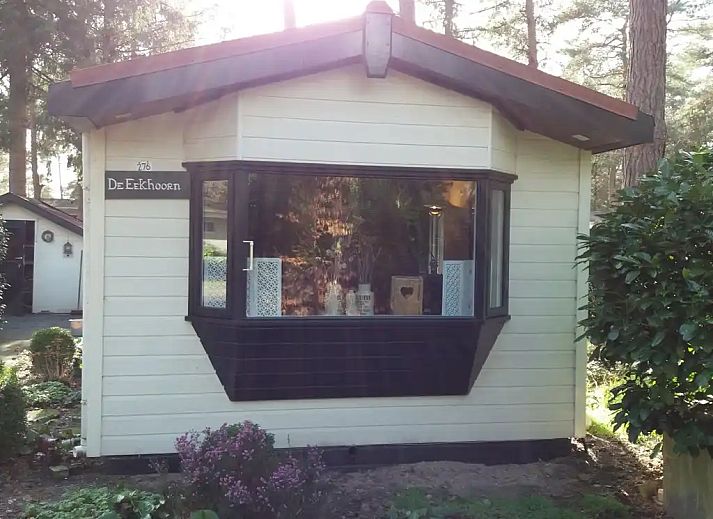 Verblijf 200446 - Chalet Zuidwest Drenthe - Chalet 'De Eekhoorn'