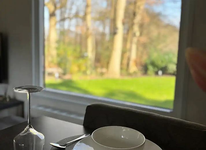 Verblijf 200458 - Chalet Zuidwest Drenthe - Boszicht  met optie  Wellness