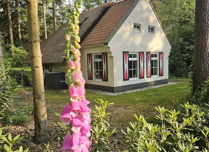 Verblijf 200463 - Vakantiewoning Zuidwest Drenthe - Idyllische plek