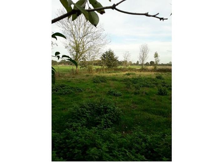 Unterkunft 200509 - Ferienhaus Zuidwest Drenthe - Huisje in Zuidwolde