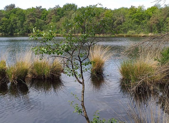 Unterkunft 200509 - Ferienhaus Zuidwest Drenthe - Huisje in Zuidwolde