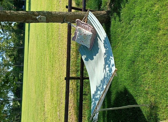 Geniet van het landelijke uitzicht vanaf het terras van vakantiehuis In 't Westerveld in Zuidwolde, Drenthe.