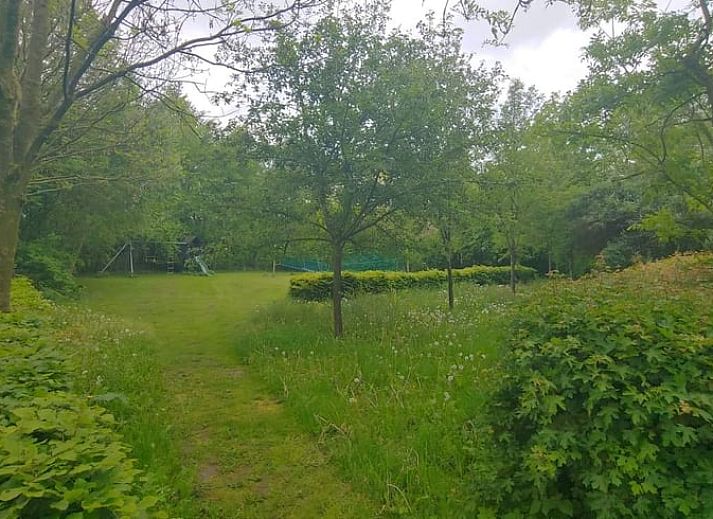 Ingang van Huisje in Zuidwolde, vakantieverblijf in Drenthe, gelegen in een serene, groene omgeving met uitnodigende paden.